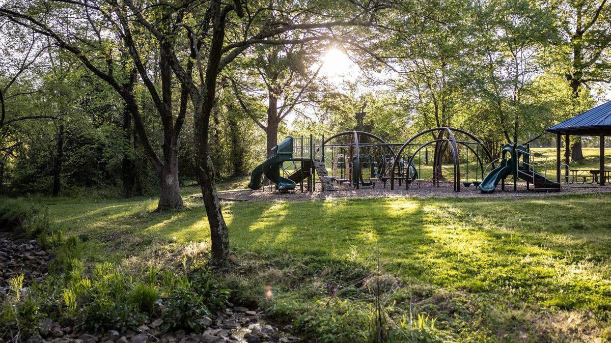 L.C. Coleman Park in Charlotte was pictured in April 16, 2021. A new study says Charlotte’s canopy covered more than 47% of the city in 2022, more than a previous count found in 2018.