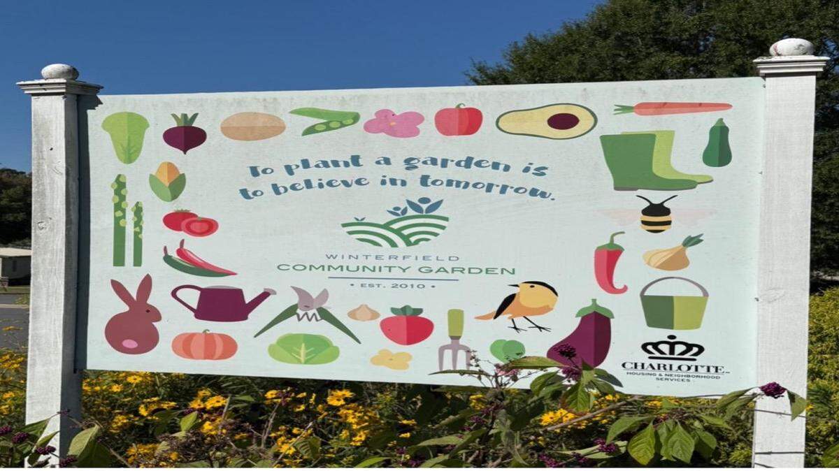 A straight-on shot of a large white sign for the “Winterfield Community Garden.” The sign features the quote, “To plant a garden is to believe in tomorrow,” and is decorated with colorful, stylized illustrations of vegetables, fruits, gardening tools, a rabbit, a bird, and a bee. The garden’s name, establishment date of 2010, and the “Charlotte Housing & Neighborhood Services” logo are also printed on it. The sign is set in front of a bed of yellow flowers, with trees and a blue sky in the background.