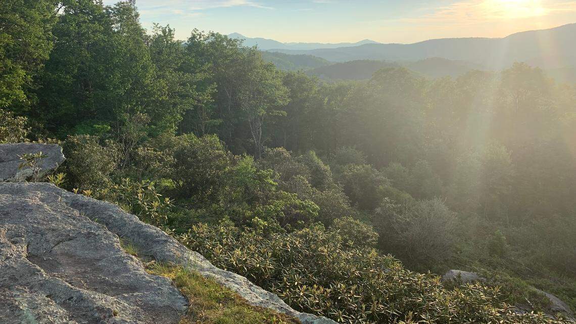 Two people died killed on the Blue Ridge Parkway early Monday, Nov. 8, when their vehicle missed a curve on the scenic byway, according to the National Park Service.