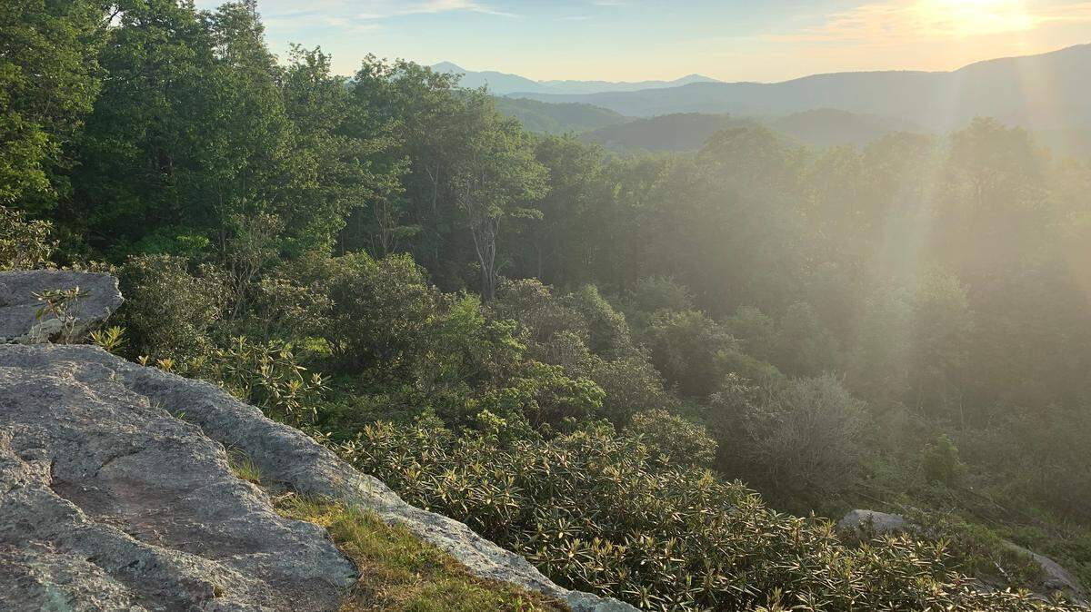 Two people died killed on the Blue Ridge Parkway early Monday, Nov. 8, when their vehicle missed a curve on the scenic byway, according to the National Park Service.