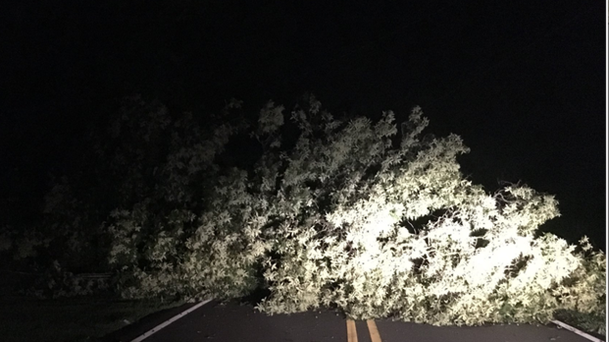 A downed tree blocked Hermance Lane in Iredell County over night.