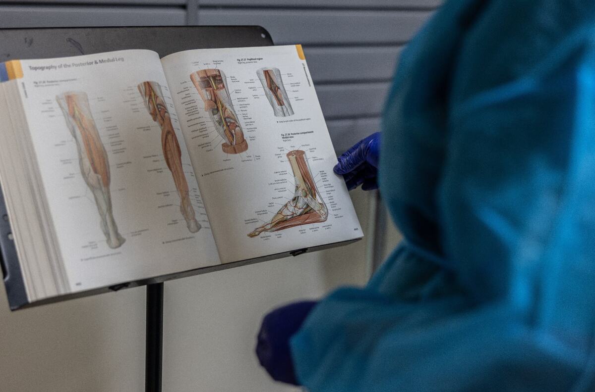 Katie Hopkins refers to an anatomy book during a workshop at Experience Anatomy in Charlotte.