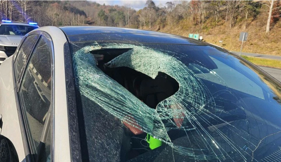 A witness reported seeing the adult-sized cat fall from the sky as it struggled in the talons of a bald eagle, the N.C. Highway Patrol says. 