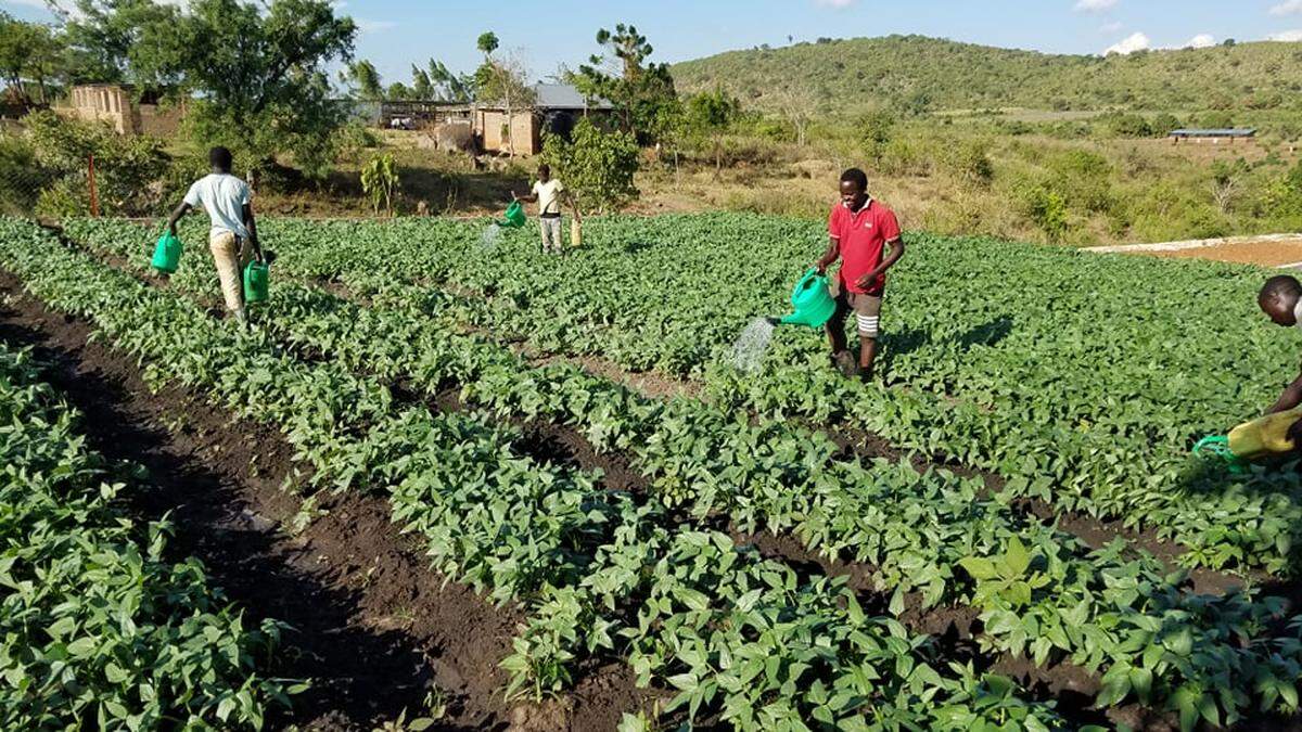 Students garden at Acres of Hope in Uganda.