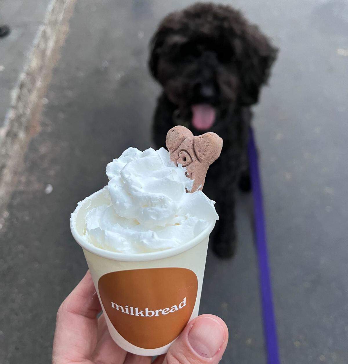 Milkbread’s pup cups include a small bone.