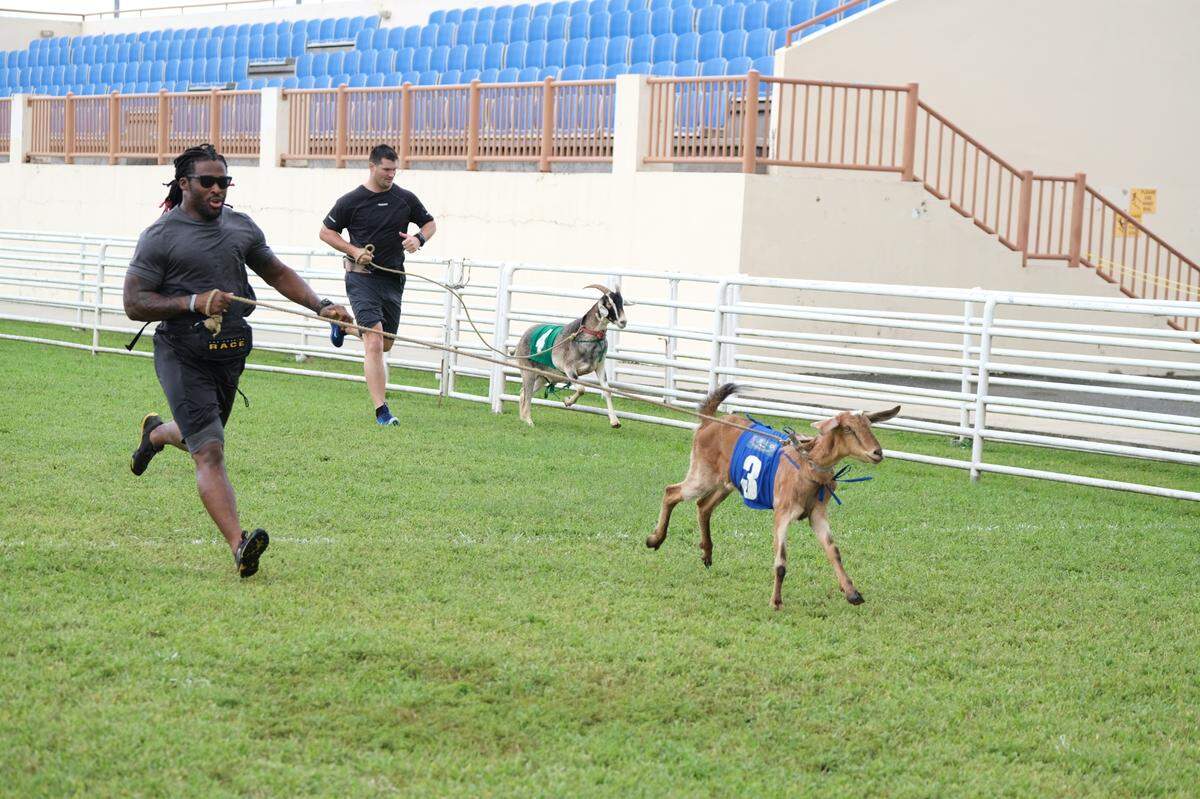 “The Amazing Race” celebrates traveling an 1 million miles around the world when the 32nd race kicks off from the legendary Hollywood Bowl in Los Angeles. Episode one includes former Carolina Panthers DeAngelo Williams, left, and Gary Barnidge racing goats in Trinidad and Tobago.
