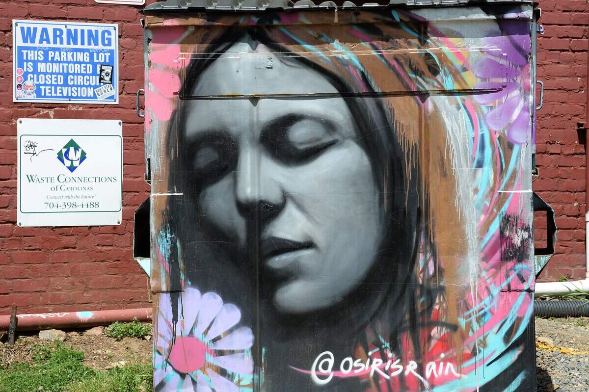Local artist Osiris Rain said his "whole point was to make it more interesting, and to create work for artists."  Property owner Paul Sires hired him to paint the mural in NoDa, but the city's zoning rules require most Dumpsters to be hidden with some form of fencing.