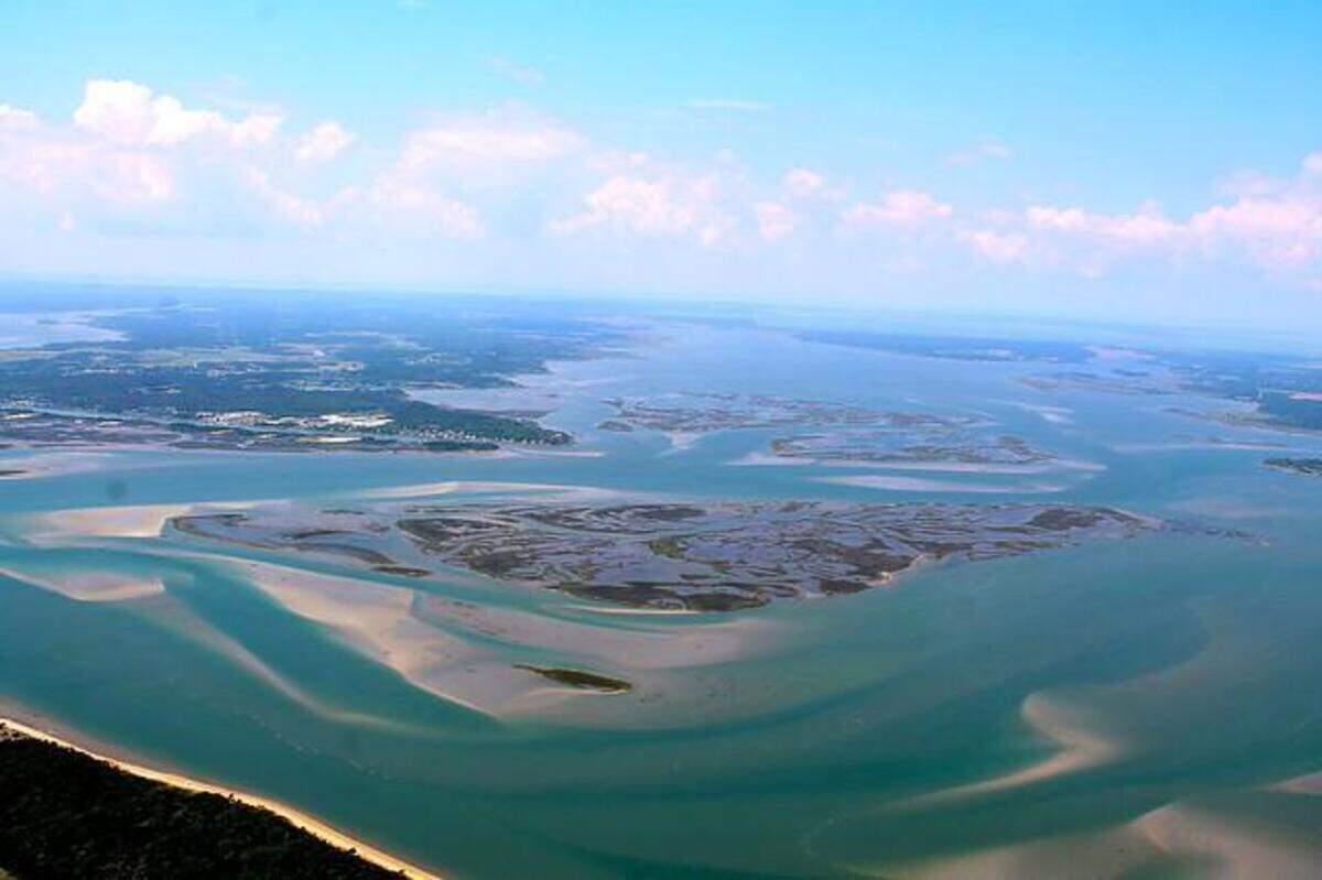 The 2,315-acre state Rachel Carson Reserve is a complex of islands located between the mouths of the Newport and North Rivers. The swarm was seen on back side of Town Marsh, where it connects to Bird Shoals.