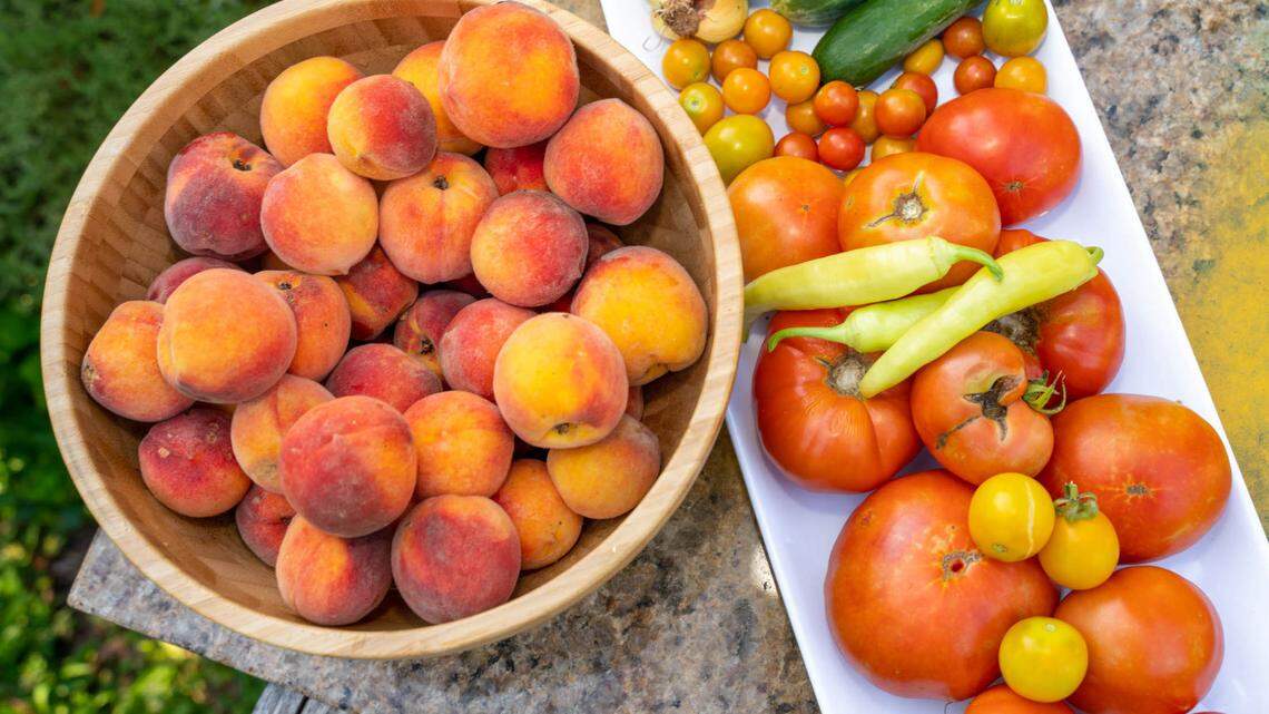 Produce from Scott Lindsley and Joey Hewell’s NoDa garden.