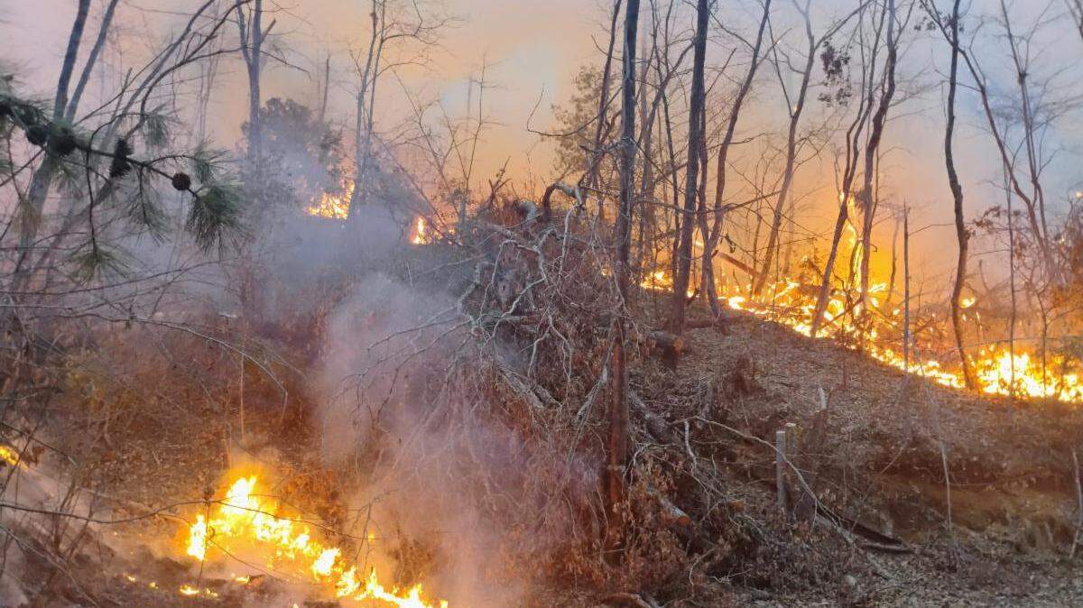 Fire burns “with high intensity” in an area of the North Carolina mountains previously damaged by Hurricane Helene, the U.S. Forest Service said on Saturday, Feb. 1, 2025. 