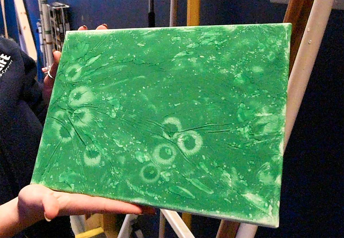 Brianna Nowak, a marketing executive with Sea Life Charlotte-Concord, displays a “painting” by Fiona. The giant Pacific octopus marks the canvas with her suction cups.