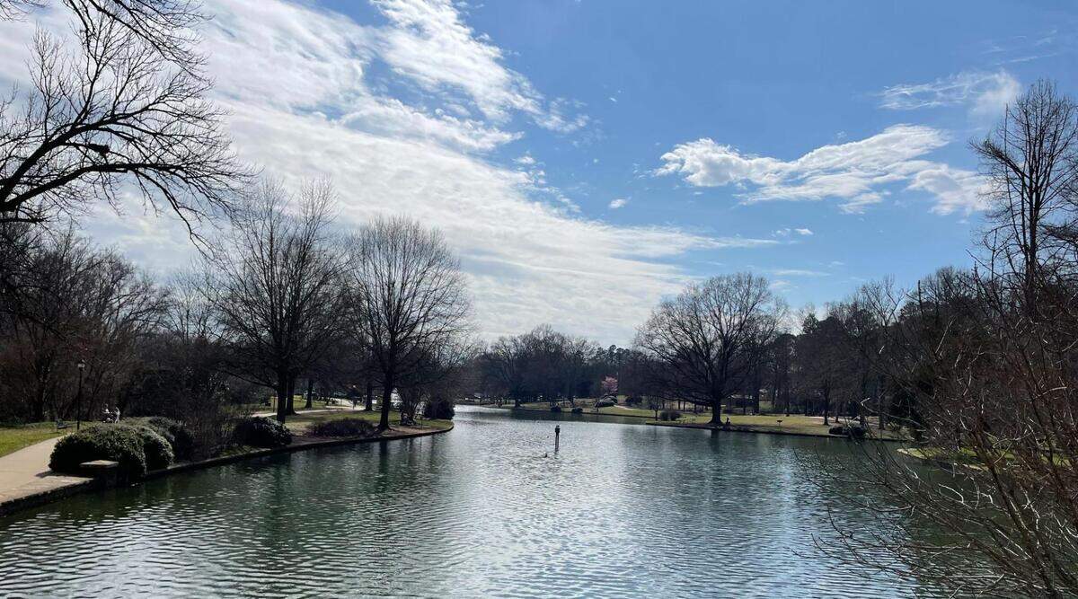 Freedom Park has a pond where you can set up your picnic.