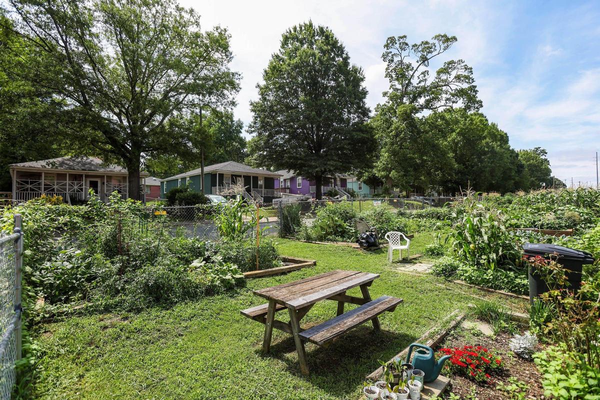A community garden in Genesis Park. The neighborhood is one of eight that make up Charlotte’s growing North End. Some like Lockwood date back to as early as 1915.