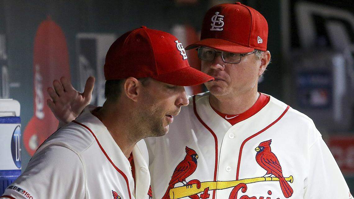 St. Louis Cardinals manager Mike Shildt (8), who grew up in Charlotte, talks with starting pitcher Adam Wainwright (50) after pulling him from a game. Friends say one of Shildt’s strengths is his ability to communicate with players. The Cardinals open the playoffs Thursday against the Atlanta Braves. (AP Photo/Scott Kane)