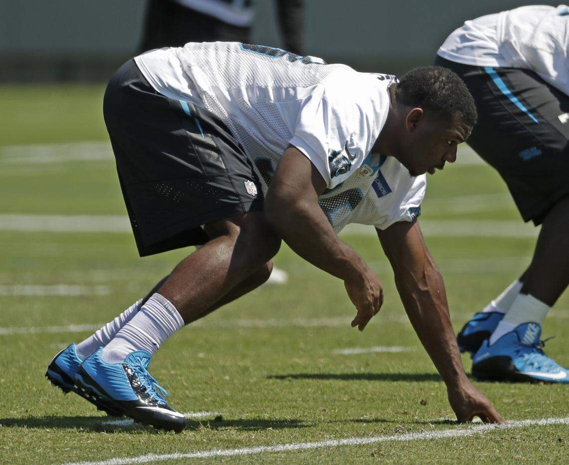 Carolina Panthers' Marquis Haynes (98) is 6-foot-3 and 235 pounds, which is undersized for his position. But he makes up for it with speed and, as he says, deceptive power.  (AP Photo/Chuck Burton)