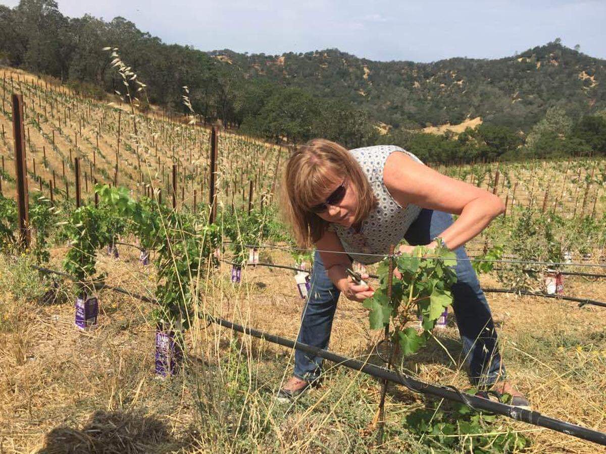 Sharon Balas, general manager of Foxcroft Wine Co. Southpark, visits Somerston Estate in Napa Valley, California.