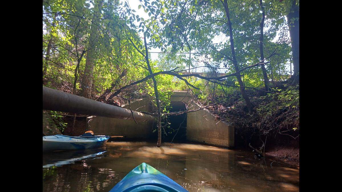 “It’s like we’ve just entered the Amazon Rain Forest,” Charlotte Observer reporter Joe Marusak blurted to fellow kayaker Pat Jenkins as the paired neared the tunnel beneath Interstate 77 in Davidson on Sunday, July 23, 2023. The tunnel connects to Lake Norman.