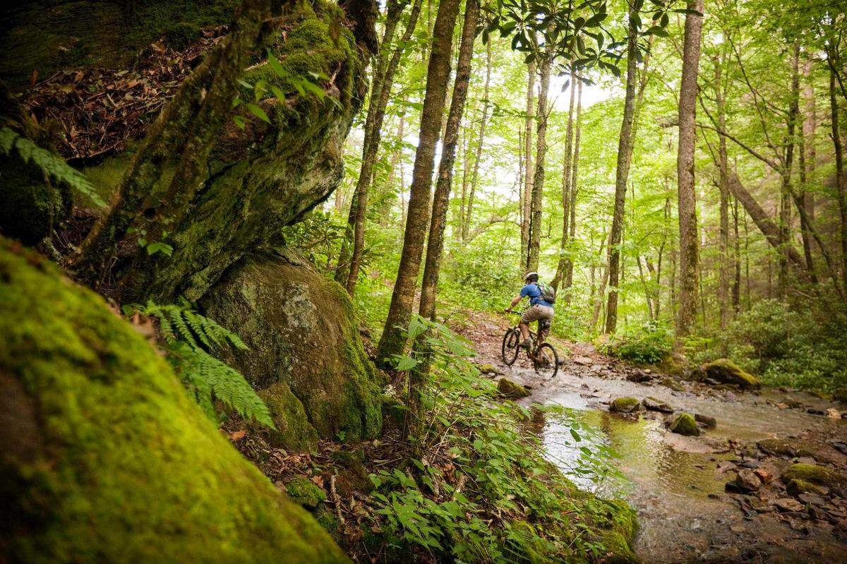 A mountain biker splashes across Staire Creek Trail in the proposed Craggy National Scenic Area. World-class mountain bikers seeks out its steep, rugged trails.