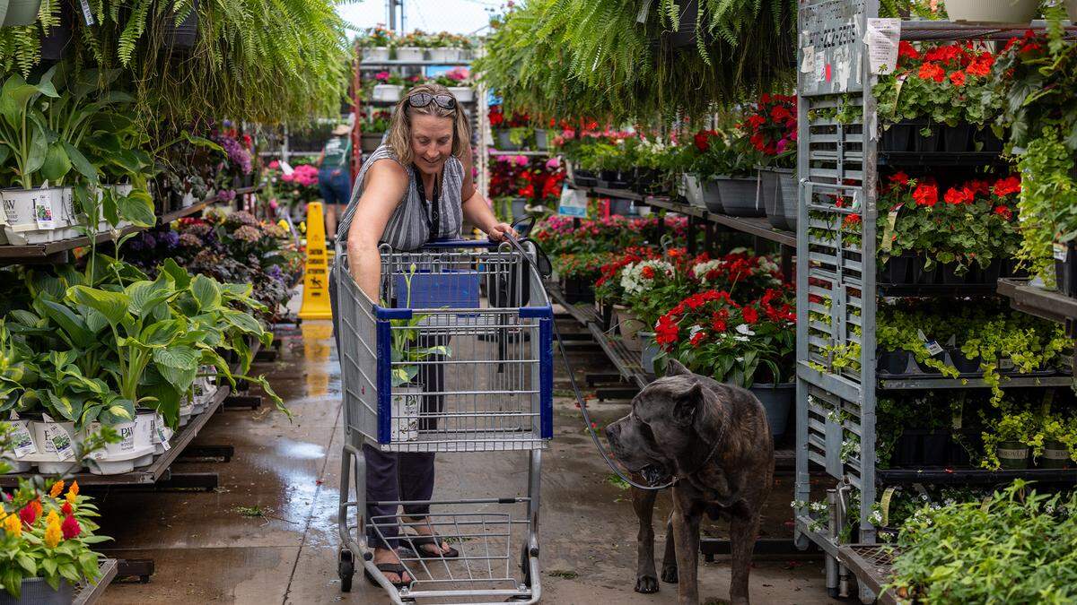 Lowe’s home improvement chain reported net earnings of&nbsp;$1.6 billion for the quarter ending May 2, down from $1.8 billion the same period last year.