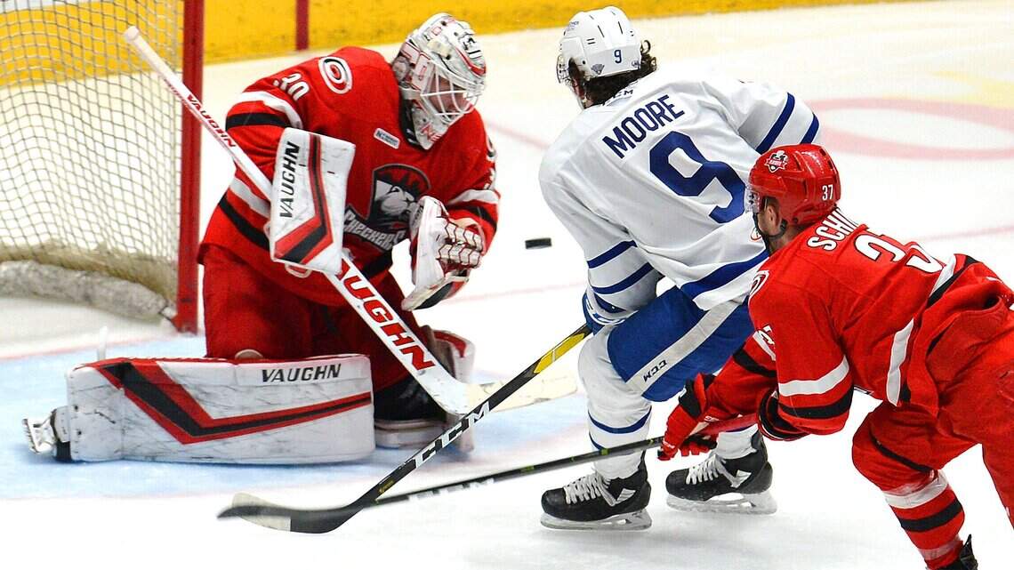 Canes sign goalie Alex Nedeljkovic to two-year contract