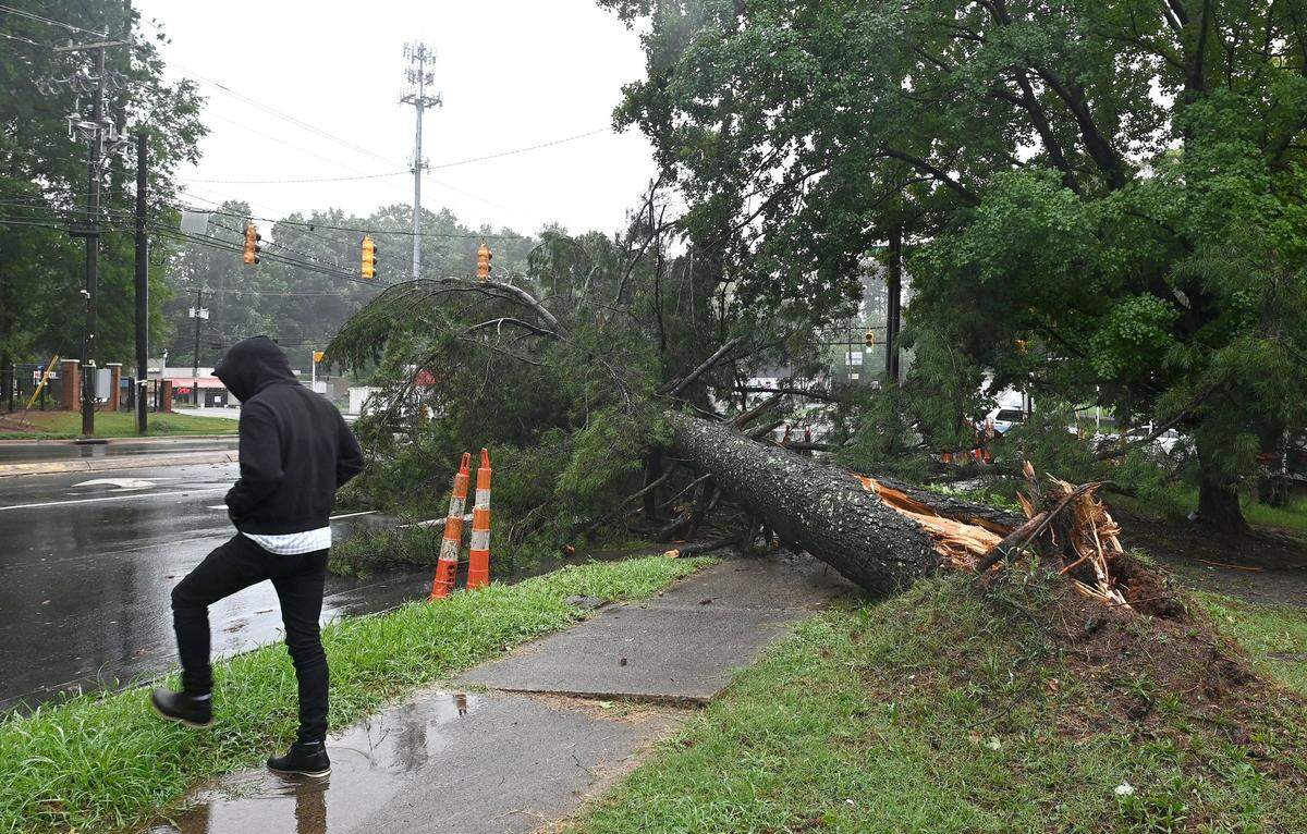 A resident walks past a downed tree covering Eastway Drive at Kilborne Drive in Charlotte, N.C., on Thursday, August 8, 2024 as heavy rains from Tropical Storm Debby passed through the area.