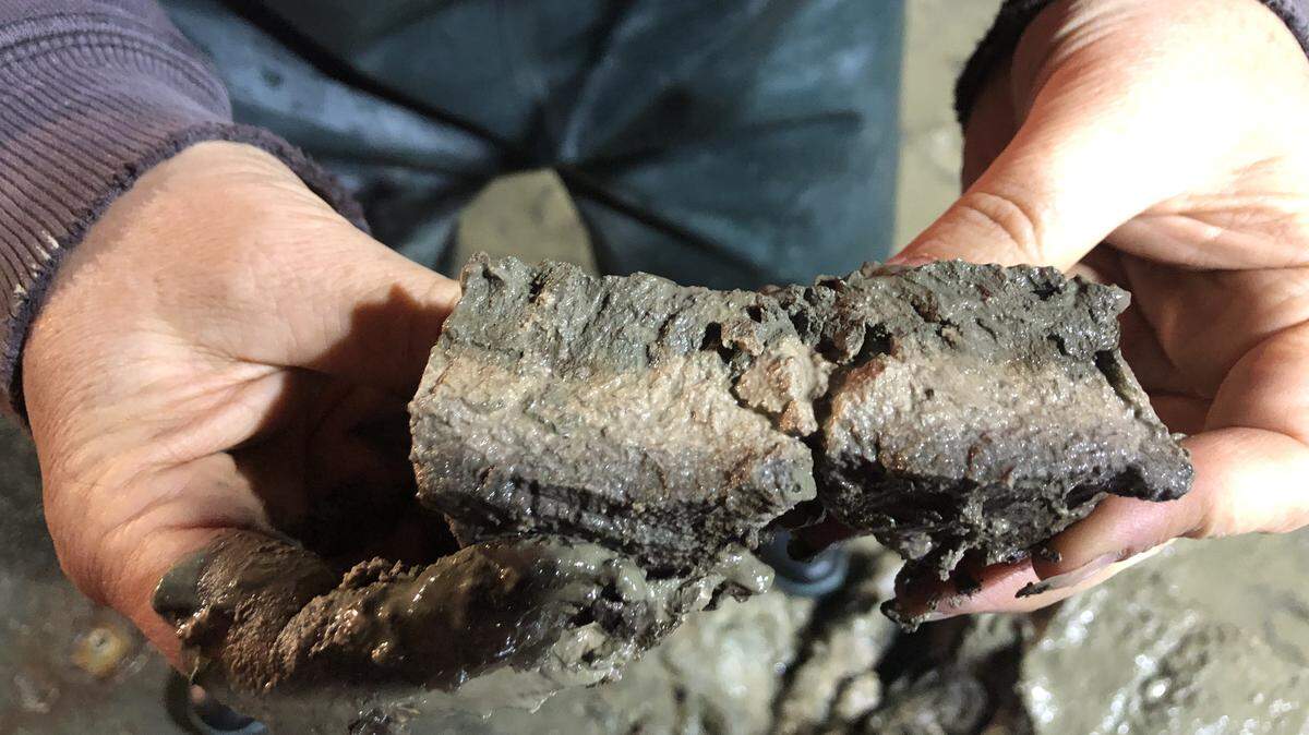 The light sediment layer between the darker top and bottom layers tells a story of past geologic events on the ocean floor, says NOAA.