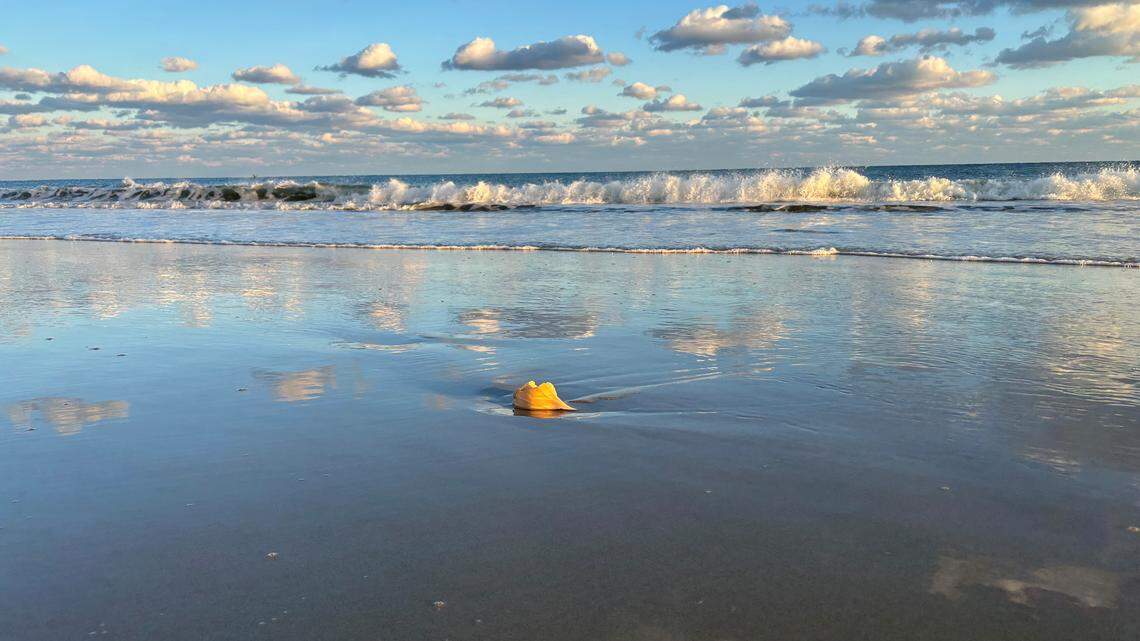 Man who died off Outer Banks had been on city council in Arkansas, officials say