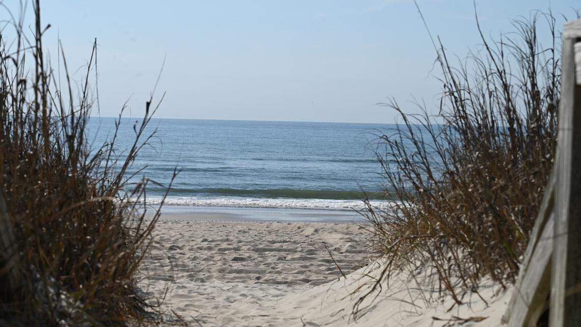 200-pound sea creature found dead on NC beach was likely hit by boat, team says
