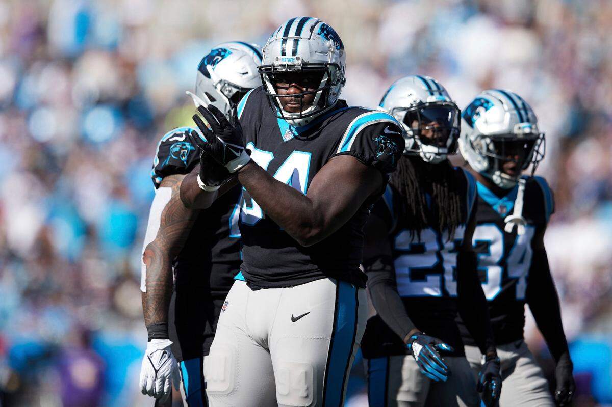 Carolina Panthers defensive tackle Daviyon Nixon (94) tries to get the crowd fired up during an NFL football game against the Minnesota Vikings, Sunday, Oct. 17, 2021, in Charlotte, N.C. (AP Photo/Brian Westerholt)