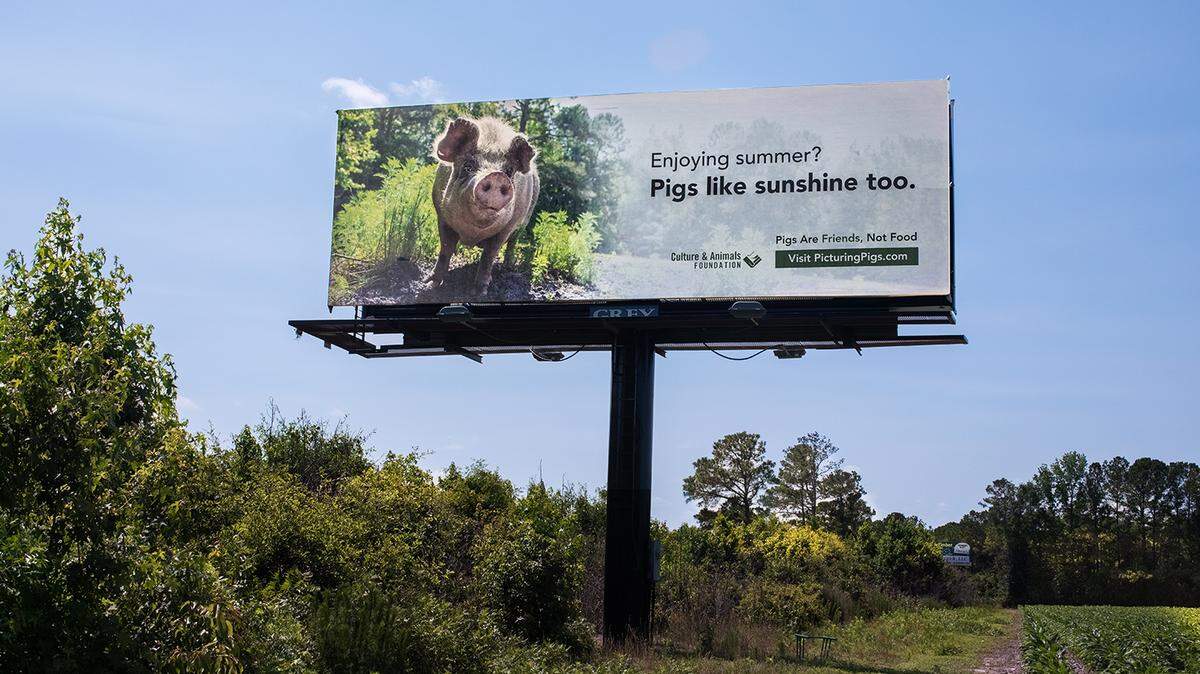 A billboard display along Interstate 40 in Sampson County. Sampson County is one of the top pork-producing counties in the country.