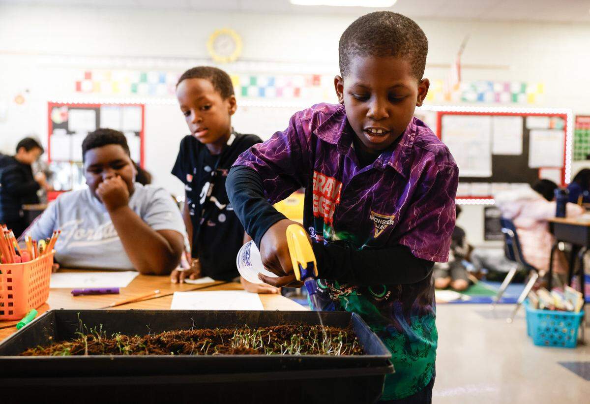 Second-grader Kawhi Crawford sprays water into a tray with sprouting seeds at CharlesH. Parker School in Charlotte on Thursday, December 12, 2024. A group of middle and high school students who have been learning about food deserts are piloting a program to teach kids about growing their own food.