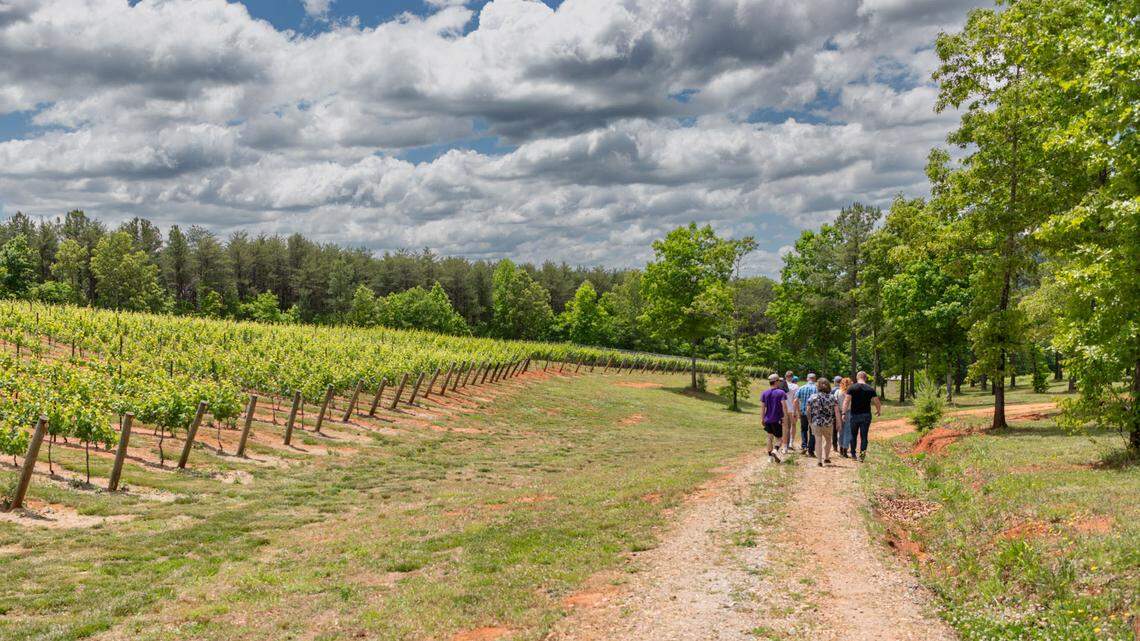 Asheville Wine Tours was named one of the best wine tour companies in the US by USA Today.