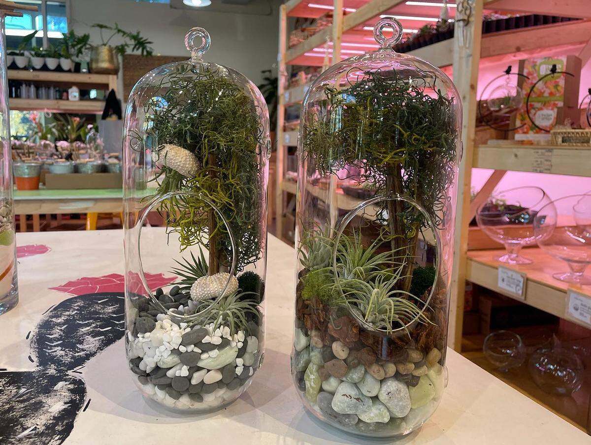 Guests can create various types of plant terrariums at Twigs & Figs.