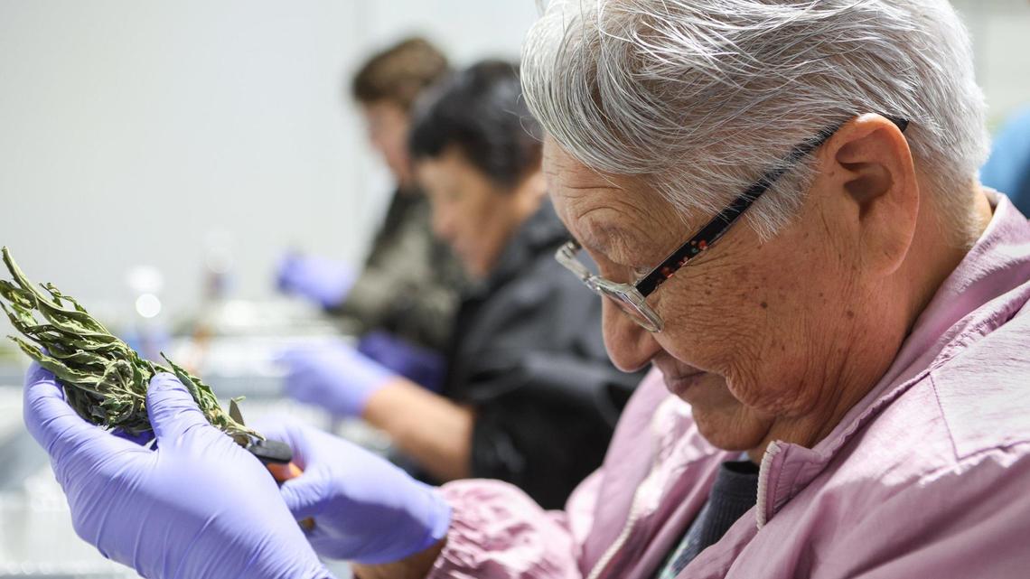 ‘It’s about our people.’ Exclusive tour of North Carolina’s first marijuana dispensary