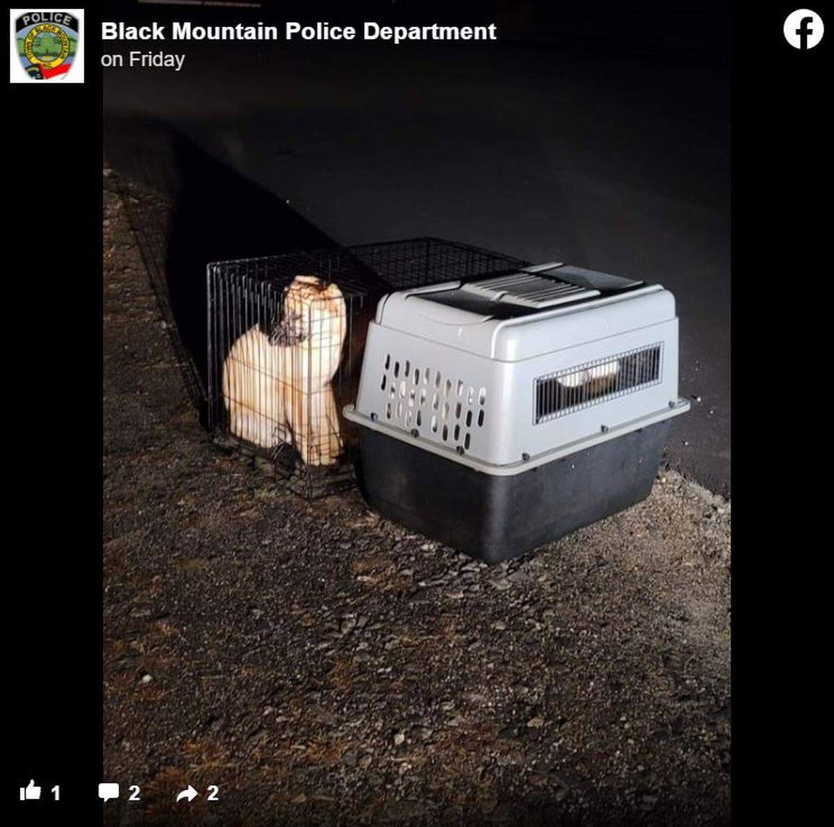 Cages were found on the side of the road late Tuesday, March 1, or early Wednesday, March 2, police said.