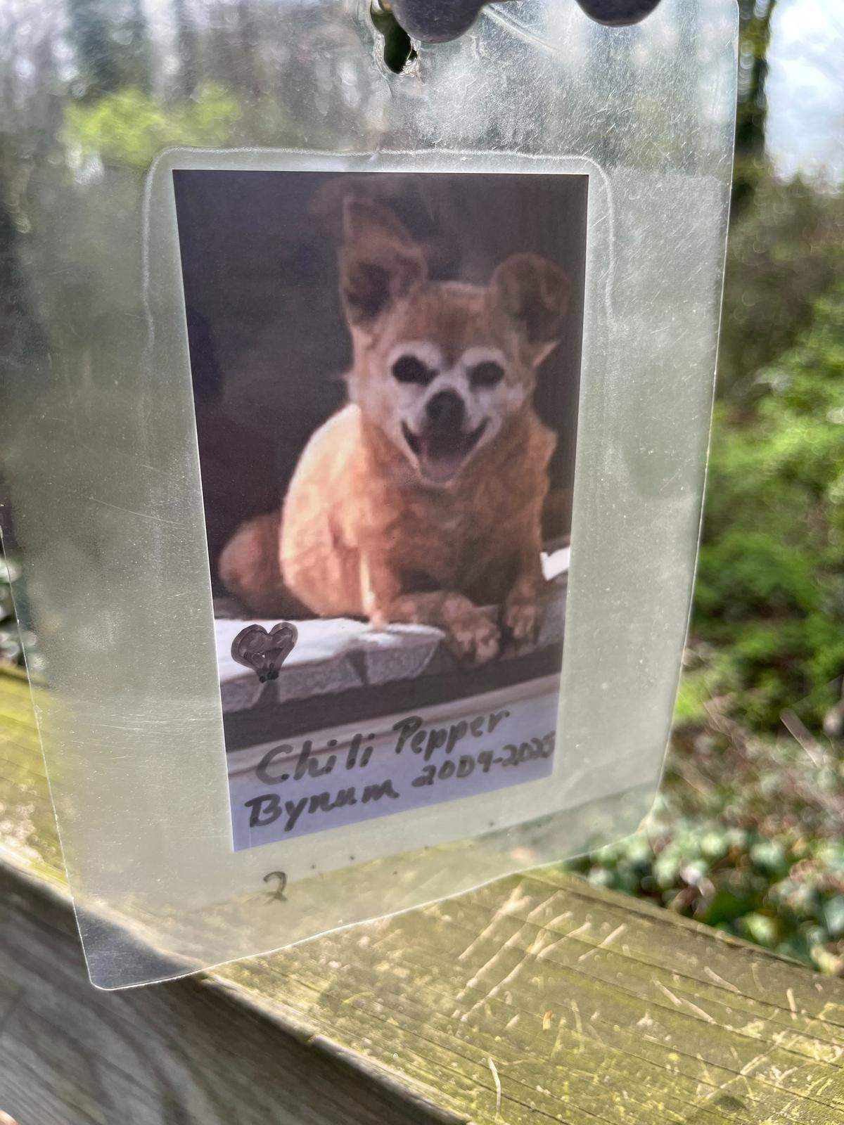A photo of a dog is displayed on March 21 on the Rainbow Bridge along the Marcia H. Cloninger Rail-Trail in Lincolnton.