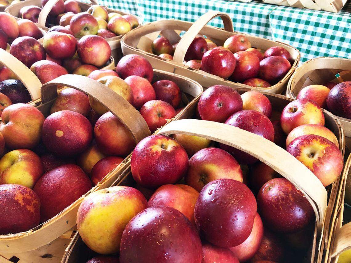 Buy extra produce at your favorite farmers market to support local farmers.