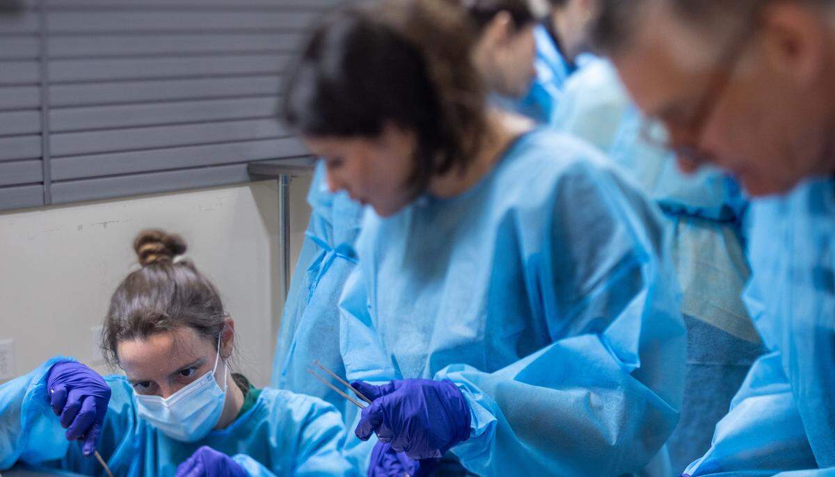 Katie Hopkins, a somatic bodywork and movement specialist with Align & Spiral, dissects a cadaver during Dissection Club at Experience Anatomy in Charlotte. Experience Anatomy is bringing the study of the human body to Charlotte through cadaver dissection workshops.