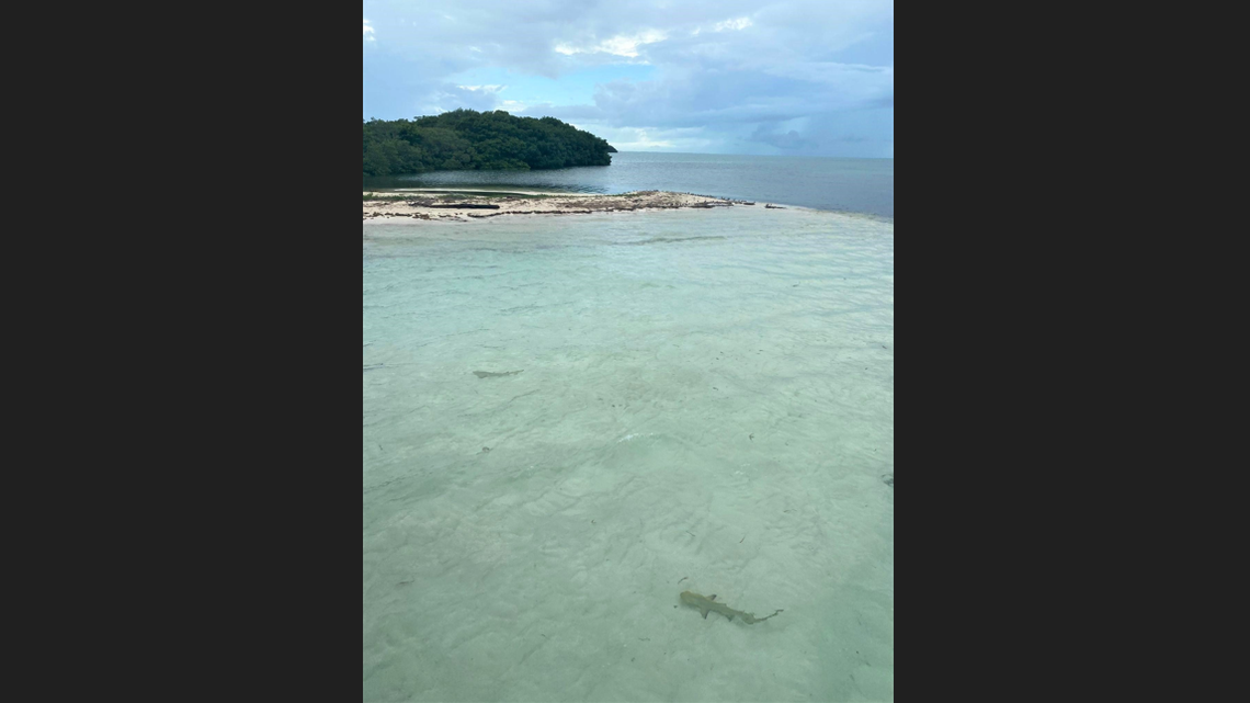 North Carolina man dies snorkeling at remote spot off Florida Keys, sheriff says