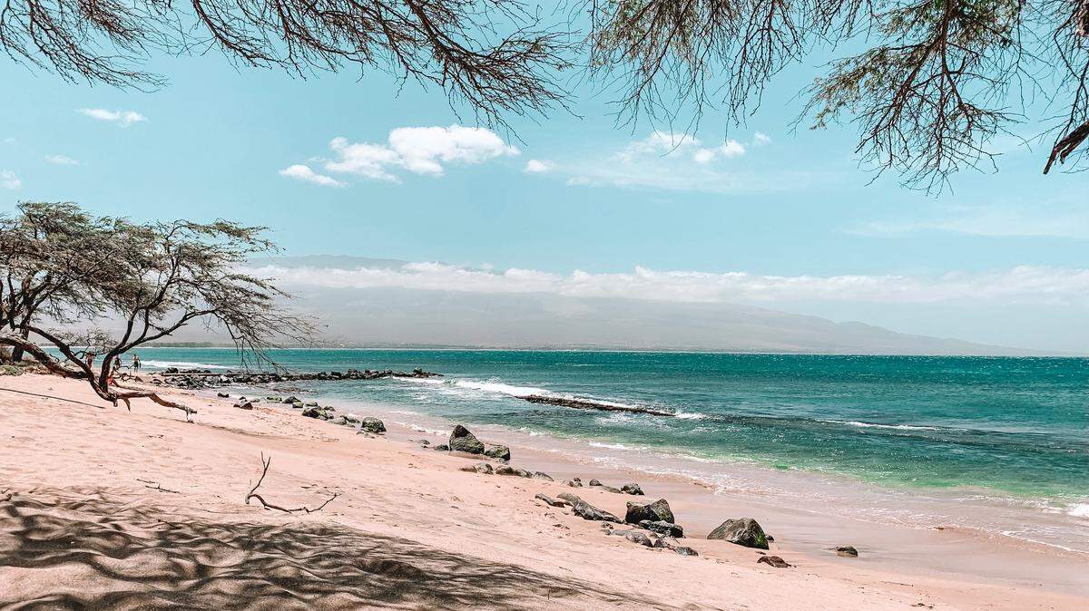 If you want to go to Hawaii right now, you need to take a COVID test that produces a negative result within 72 hours of your departure from the mainland.