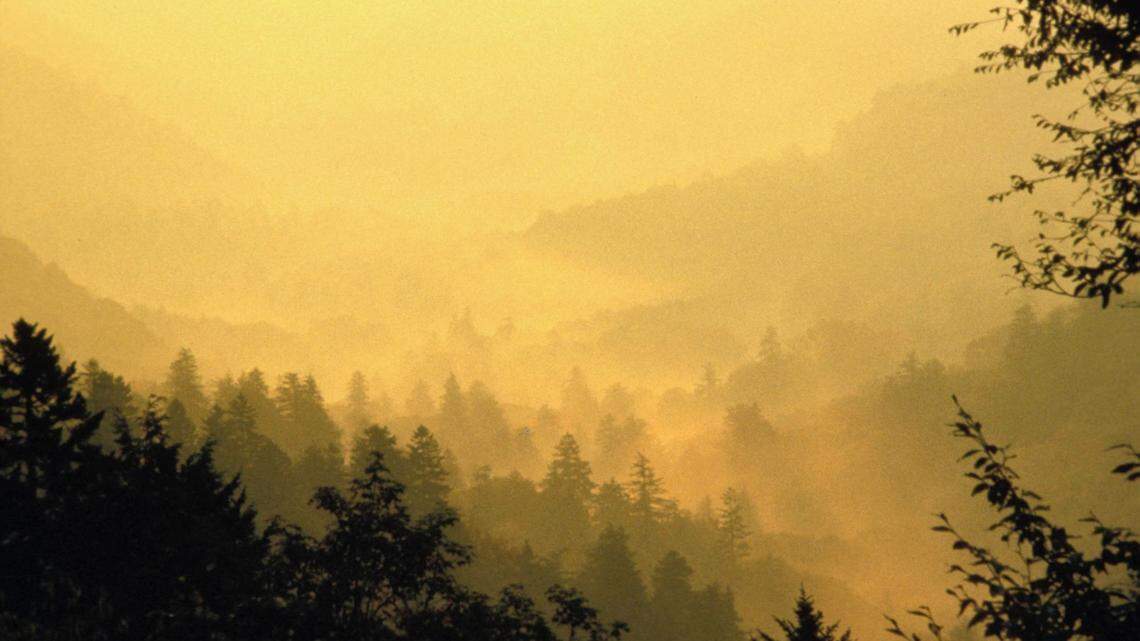 Laurel Falls Trail is among the most visited spots in Great Smoky Mountains National Park, which is divided by the Tennessee-North Carolina state line.