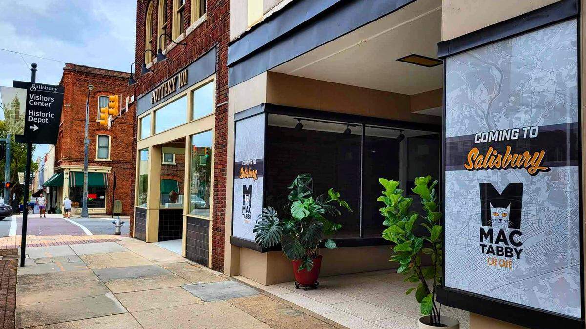 Mac Tabby Cat Cafe’s newest location in Salisbury is set to open in 2024.