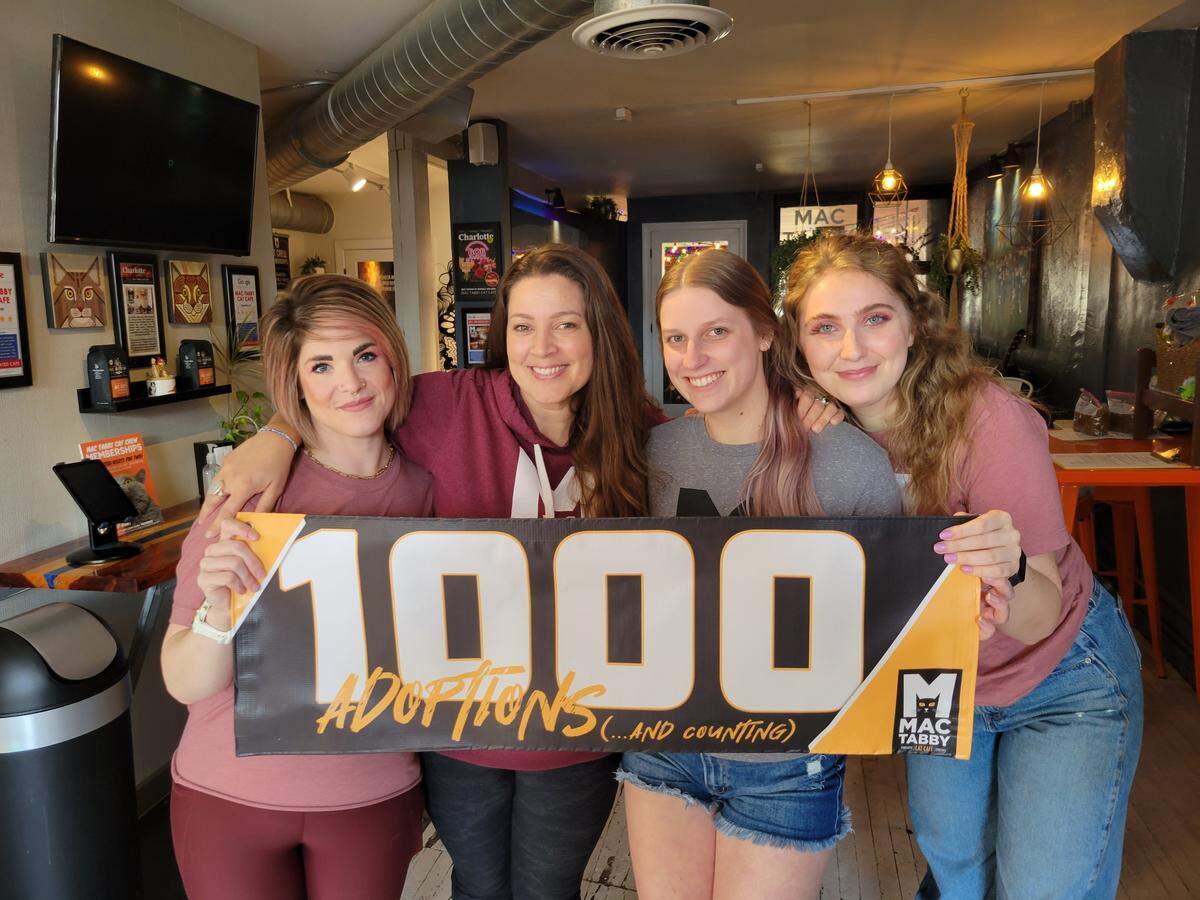 Shown from left: Jessie Tanner, Lori Konawalik, Samantha Inglis and Alexis Hubbard of Mac Tabby Cat Café.