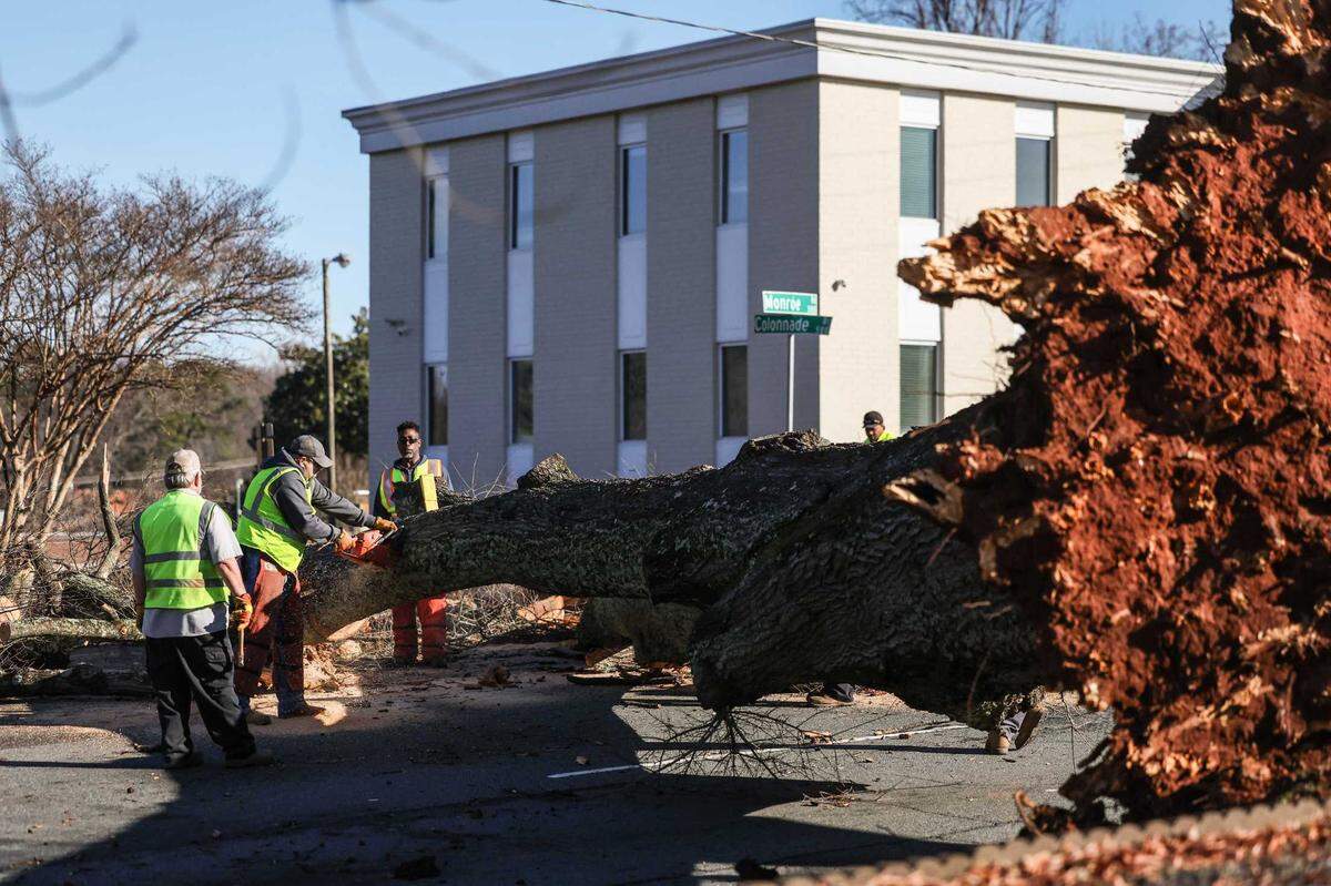 Workers cut a downed tree on Monroe Road in Charlotte Monday morning on Dec. 30, 2024 . The tree was downed during severe winds Sunday afternoon.