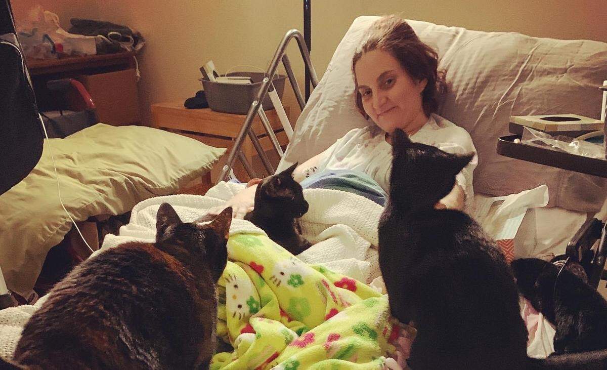 During her time in home hospice care, Colleen Davis’ cats were a source of comfort.