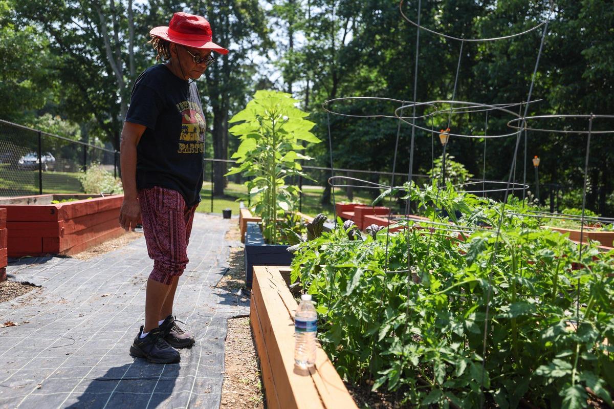 “It’s the joy of watching it grow,” says Elaine White, who has a box in the Lincoln Heights neighborhood community garden. A resident since 1971, White said her property values have doubled since the last revaluation.