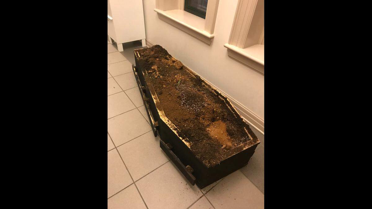 The Asheville Police Department reports a coffin chock full of something stinky appeared in front of its headquarters overnight, during nationwide demonstrations associated with the fatal police shooting of Breonna Taylor in Kentucky.