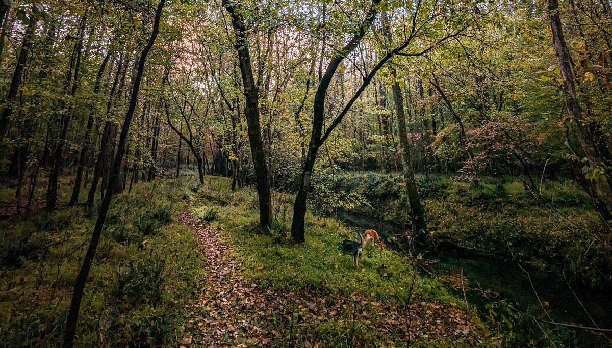 At Finicky Table, guests will be encouraged to explore the multi-acre property and walk along the creekside trail, take in the views from the wildlife overlook or relax in the hammock lounge.