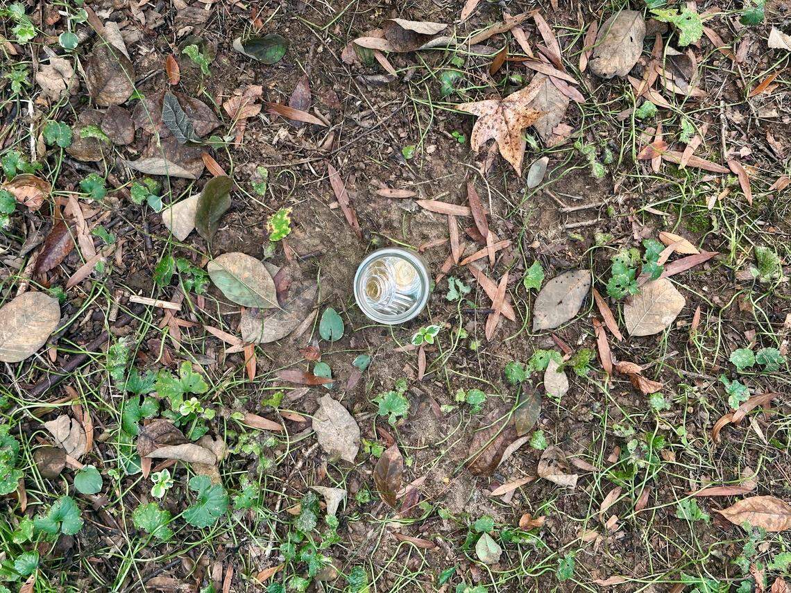 The view from above the mason jar containing $25,000 worth of gold coins.