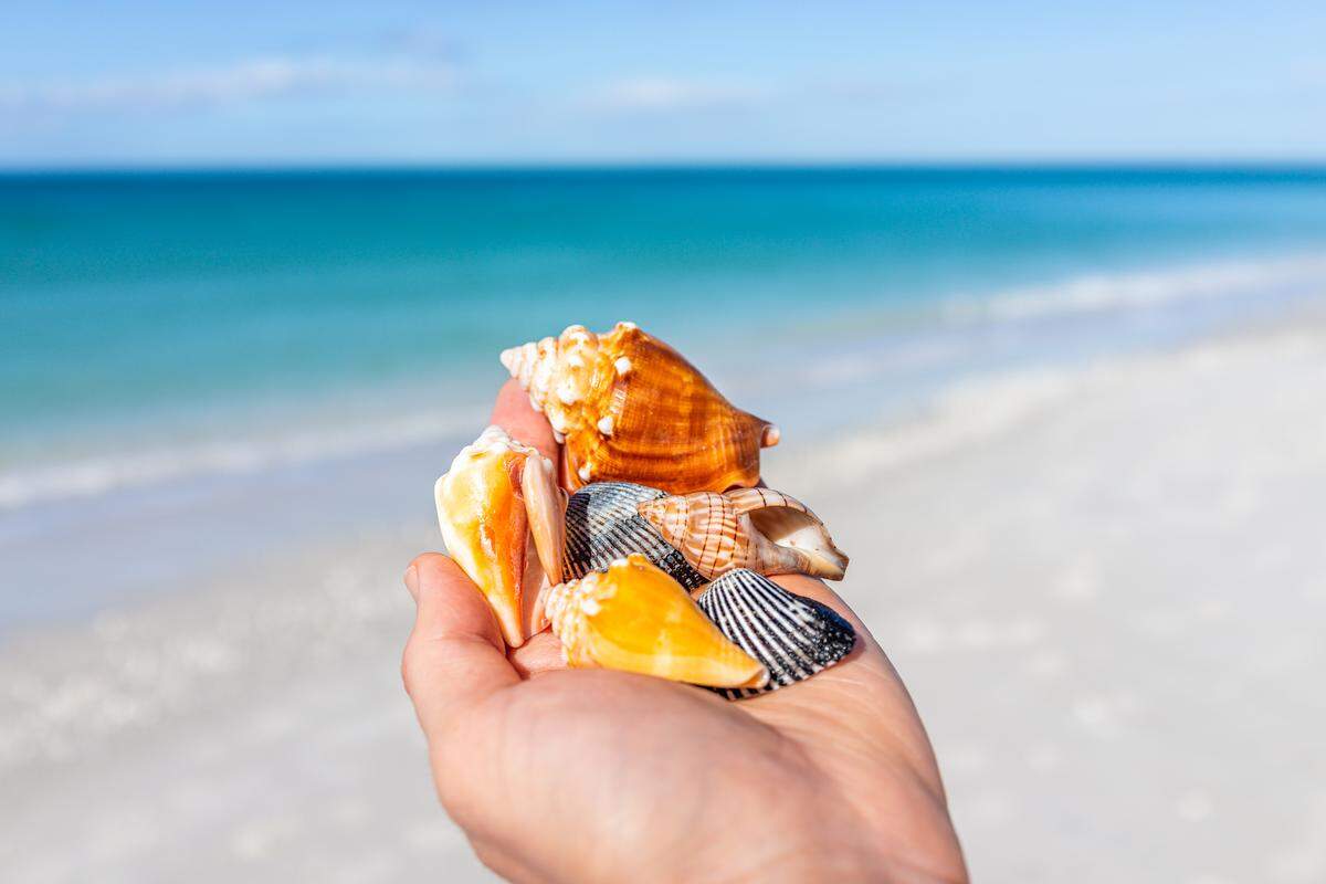 Shell Key Preserve is home to one-of-a-kind nature.